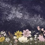 Galaxy in Bloom - EC Mazur