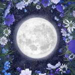 Moonlight in the Meadow Blue - EC Mazur