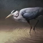 Dumas_Great Blue Heron