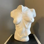 Milligan_Anka_Torso 2