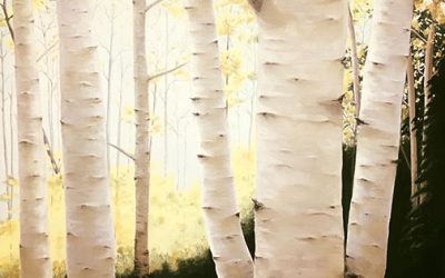 Birches in Sunlight _ShankMiles_homepage