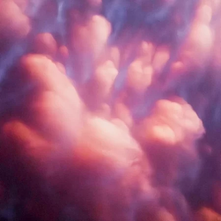 Hankus_M_Sky_Cadaver_SQ