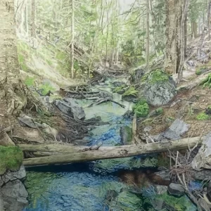 William Peltier - Young Trees